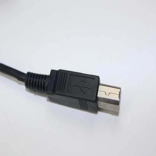 USB B male cable